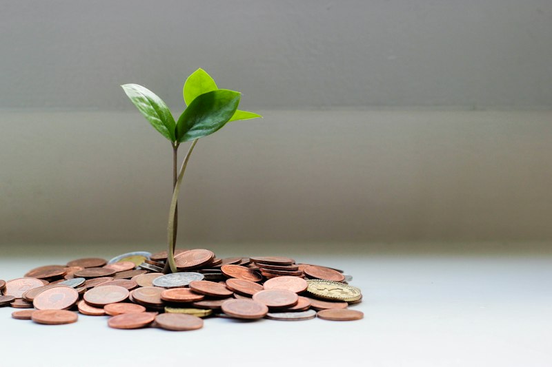 What to do if you sent money